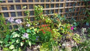 Photo 15- click for photo gallery